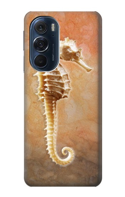 W2674 Seahorse Skeleton Fossil Hard Case and Leather Flip Case For Motorola Edge X30