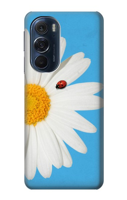 W3043 Vintage Daisy Lady Bug Hard Case and Leather Flip Case For Motorola Edge X30