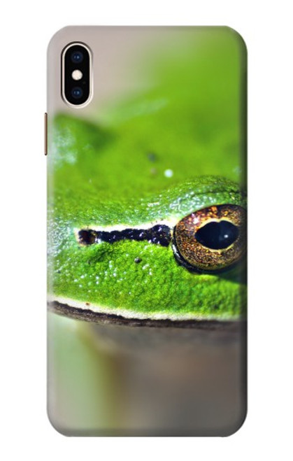 W3845 Green frog Hard Case and Leather Flip Case For iPhone XS Max