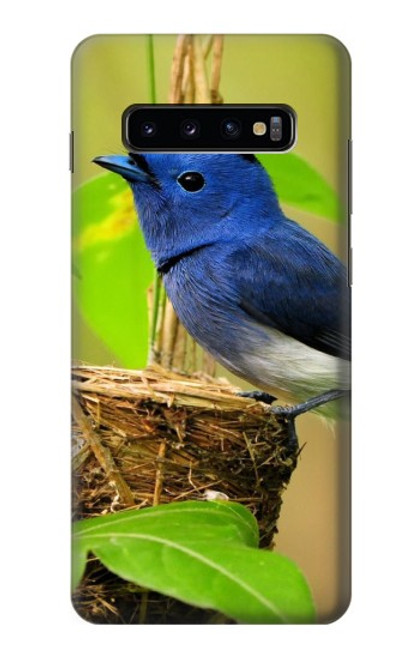 W3839 Bluebird of Happiness Blue Bird Hard Case and Leather Flip Case For Samsung Galaxy S10 Plus