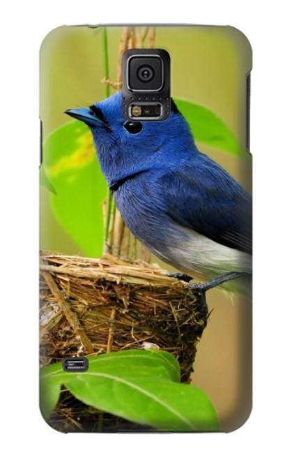 W3839 Bluebird of Happiness Blue Bird Hard Case and Leather Flip Case For Samsung Galaxy S5