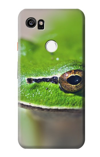 W3845 Green frog Hard Case and Leather Flip Case For Google Pixel 2 XL
