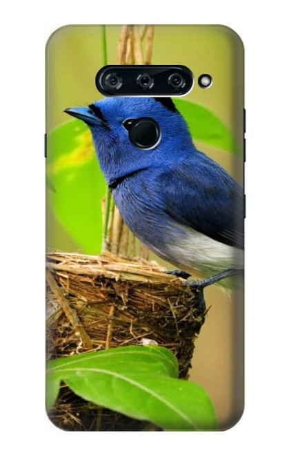 W3839 Bluebird of Happiness Blue Bird Hard Case and Leather Flip Case For LG V40, LG V40 ThinQ