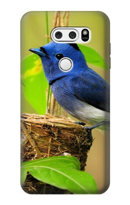 W3839 Bluebird of Happiness Blue Bird Hard Case and Leather Flip Case For LG V30, LG V30 Plus, LG V30S ThinQ, LG V35, LG V35 ThinQ