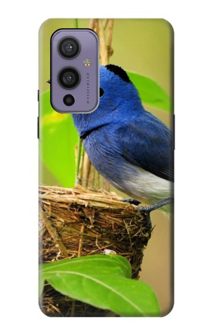 W3839 Bluebird of Happiness Blue Bird Hard Case and Leather Flip Case For OnePlus 9