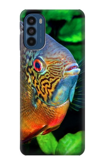 W1812 Cichlid Fish Hard Case and Leather Flip Case For Motorola Moto G41