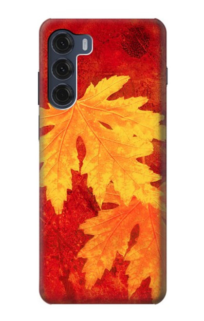 W0479 Maple Leaf Hard Case and Leather Flip Case For Motorola Moto G200 5G
