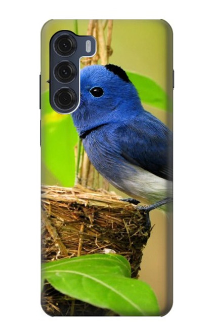 W3839 Bluebird of Happiness Blue Bird Hard Case and Leather Flip Case For Motorola Moto G200 5G