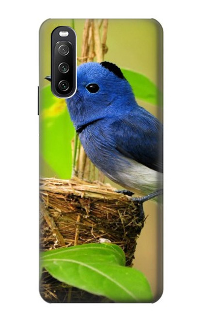W3839 Bluebird of Happiness Blue Bird Hard Case and Leather Flip Case For Sony Xperia 10 III Lite