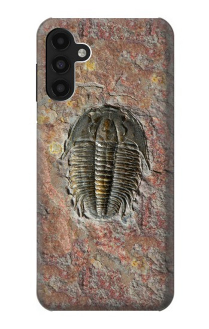 W1454 Trilobite Fossil Hard Case and Leather Flip Case For Samsung Galaxy A13 4G