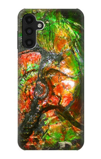 W2694 Ammonite Fossil Hard Case and Leather Flip Case For Samsung Galaxy A13 4G