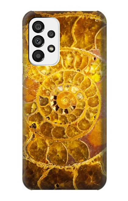 W1789 Ammonite Fossils Hard Case and Leather Flip Case For Samsung Galaxy A73 5G