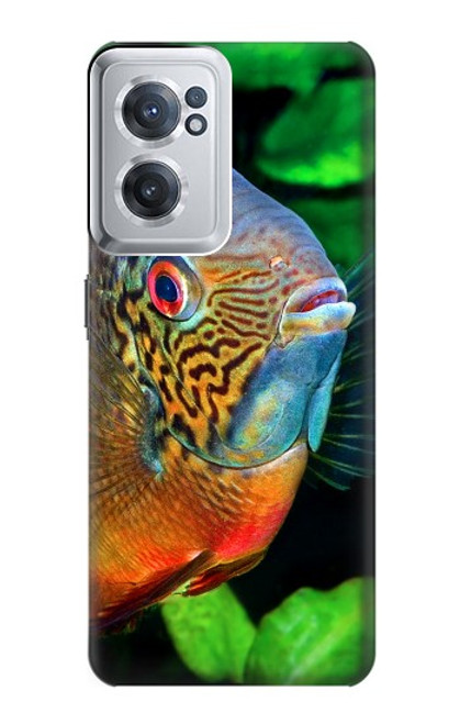 W1812 Cichlid Fish Hard Case and Leather Flip Case For OnePlus Nord CE 2 5G