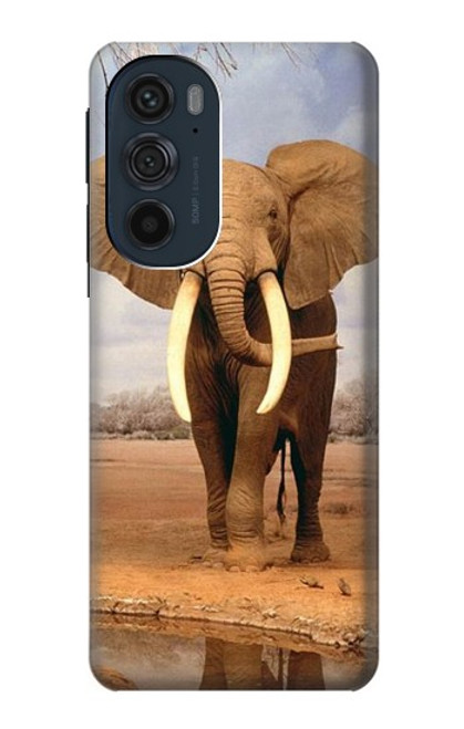 W0310 African Elephant Hard Case and Leather Flip Case For Motorola Edge 30 Pro