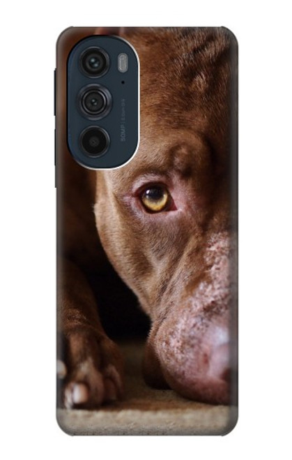 W0519 PitBull Face Hard Case and Leather Flip Case For Motorola Edge 30 Pro