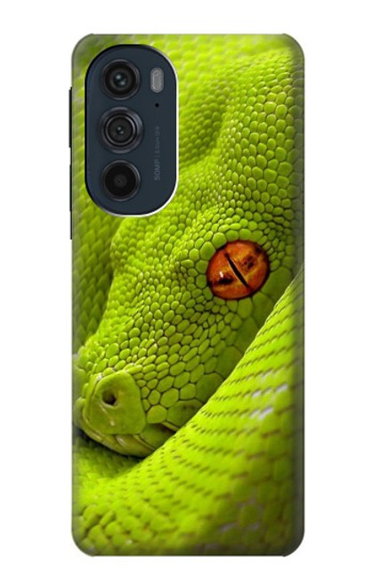 W0785 Green Snake Hard Case and Leather Flip Case For Motorola Edge 30 Pro