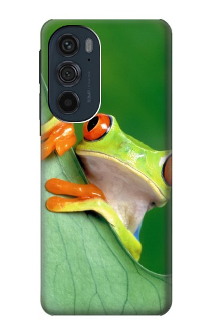 W1047 Little Frog Hard Case and Leather Flip Case For Motorola Edge 30 Pro