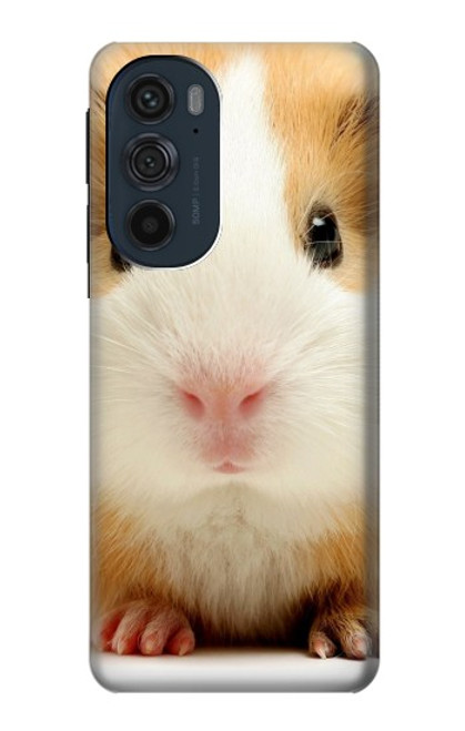 W1619 Cute Guinea Pig Hard Case and Leather Flip Case For Motorola Edge 30 Pro