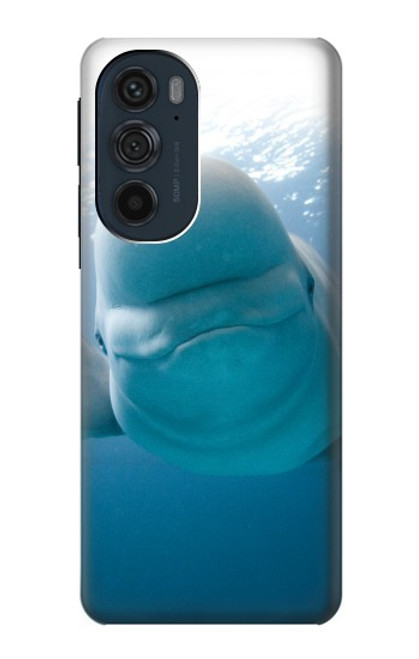 W1801 Beluga Whale Smile Whale Hard Case and Leather Flip Case For Motorola Edge 30 Pro