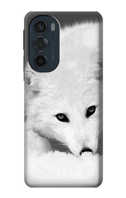 W2569 White Arctic Fox Hard Case and Leather Flip Case For Motorola Edge 30 Pro