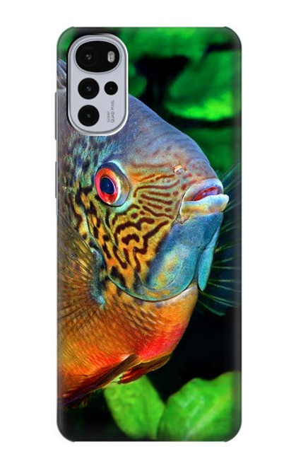 W1812 Cichlid Fish Hard Case and Leather Flip Case For Motorola Moto G22