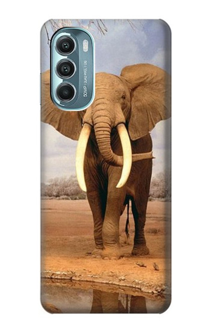 W0310 African Elephant Hard Case and Leather Flip Case For Motorola Moto G Stylus 5G (2022)