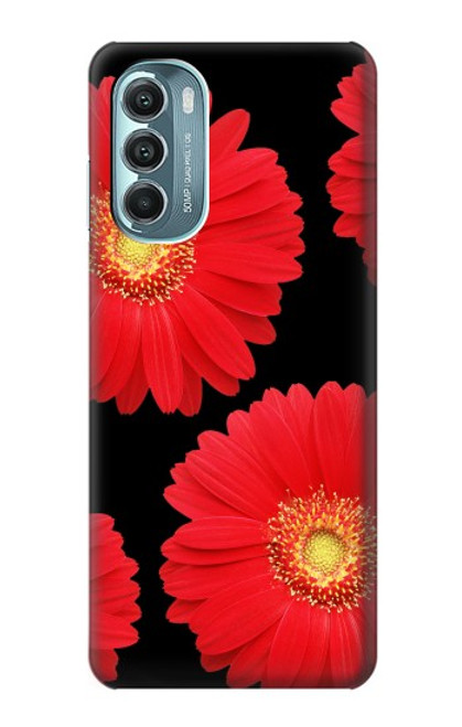 W2478 Red Daisy flower Hard Case and Leather Flip Case For Motorola Moto G Stylus 5G (2022)