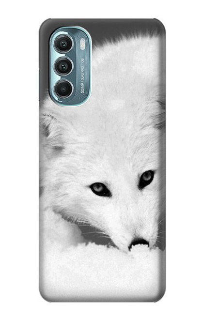 W2569 White Arctic Fox Hard Case and Leather Flip Case For Motorola Moto G Stylus 5G (2022)