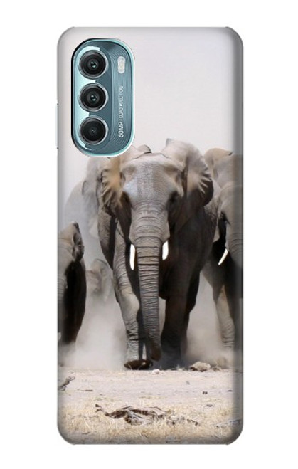 W3142 African Elephant Hard Case and Leather Flip Case For Motorola Moto G Stylus 5G (2022)