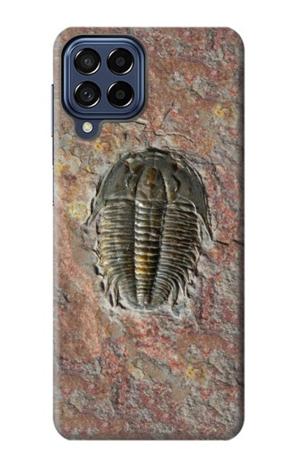 W1454 Trilobite Fossil Hard Case and Leather Flip Case For Samsung Galaxy M53