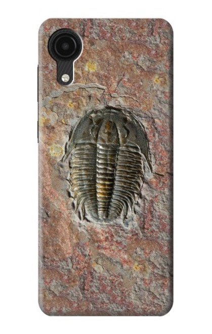 W1454 Trilobite Fossil Hard Case and Leather Flip Case For Samsung Galaxy A03 Core