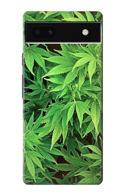 W1656 Marijuana Plant Hard Case and Leather Flip Case For Google Pixel 6a