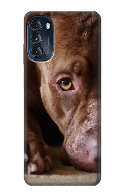 W0519 PitBull Face Hard Case and Leather Flip Case For Motorola Moto G (2022)