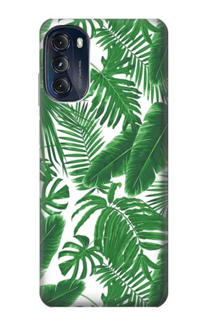 W3457 Paper Palm Monstera Hard Case and Leather Flip Case For Motorola Moto G (2022)