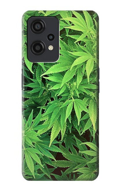 W1656 Marijuana Plant Hard Case and Leather Flip Case For OnePlus Nord CE 2 Lite 5G