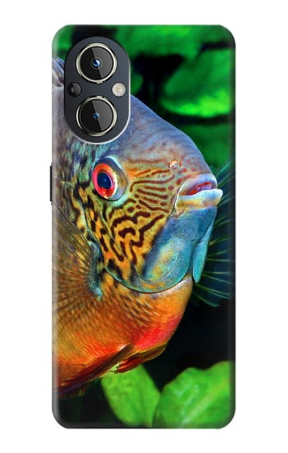 W1812 Cichlid Fish Hard Case and Leather Flip Case For OnePlus Nord N20 5G