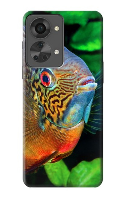 W1812 Cichlid Fish Hard Case and Leather Flip Case For OnePlus Nord 2T