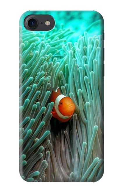 W3893 Ocellaris clownfish Hard Case and Leather Flip Case For iPhone 7, iPhone 8, iPhone SE (2020) (2022)