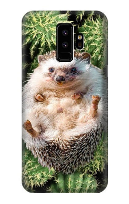 W3863 Pygmy Hedgehog Dwarf Hedgehog Paint Hard Case and Leather Flip Case For Samsung Galaxy S9