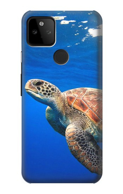 W3898 Sea Turtle Hard Case and Leather Flip Case For Google Pixel 5A 5G