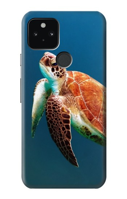 W3899 Sea Turtle Hard Case and Leather Flip Case For Google Pixel 5