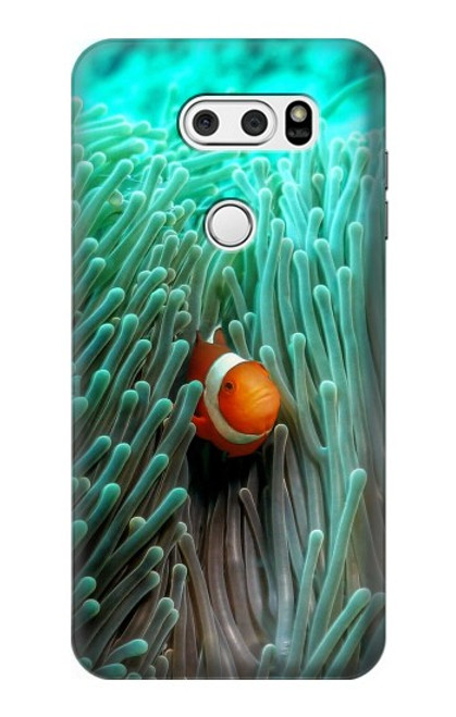 W3893 Ocellaris clownfish Hard Case and Leather Flip Case For LG V30, LG V30 Plus, LG V30S ThinQ, LG V35, LG V35 ThinQ