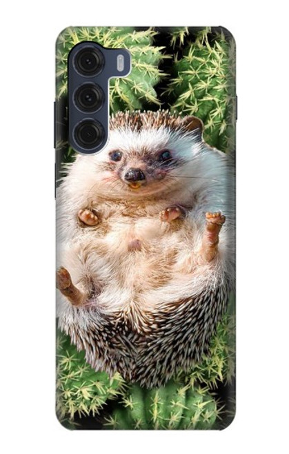 W3863 Pygmy Hedgehog Dwarf Hedgehog Paint Hard Case and Leather Flip Case For Motorola Moto G200 5G