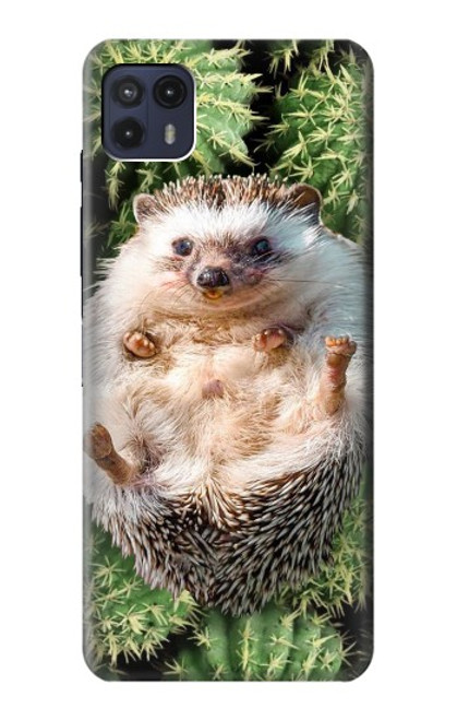 W3863 Pygmy Hedgehog Dwarf Hedgehog Paint Hard Case and Leather Flip Case For Motorola Moto G50 5G