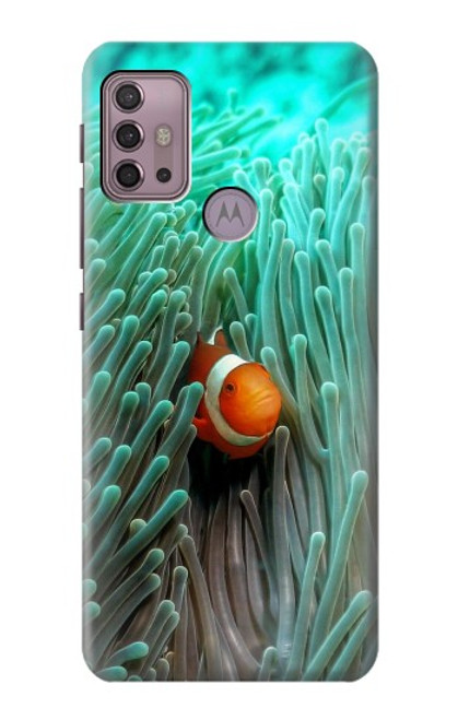 W3893 Ocellaris clownfish Hard Case and Leather Flip Case For Motorola Moto G30, G20, G10