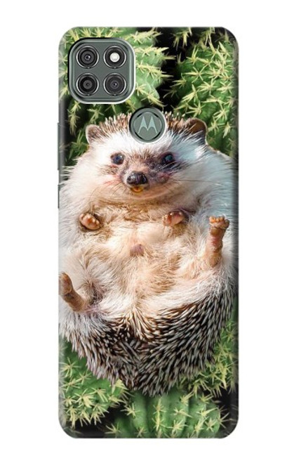 W3863 Pygmy Hedgehog Dwarf Hedgehog Paint Hard Case and Leather Flip Case For Motorola Moto G9 Power