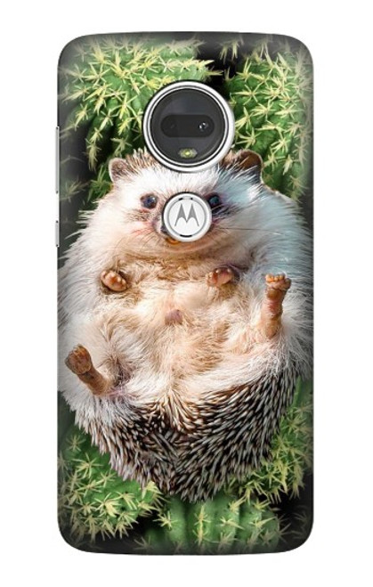 W3863 Pygmy Hedgehog Dwarf Hedgehog Paint Hard Case and Leather Flip Case For Motorola Moto G7, Moto G7 Plus