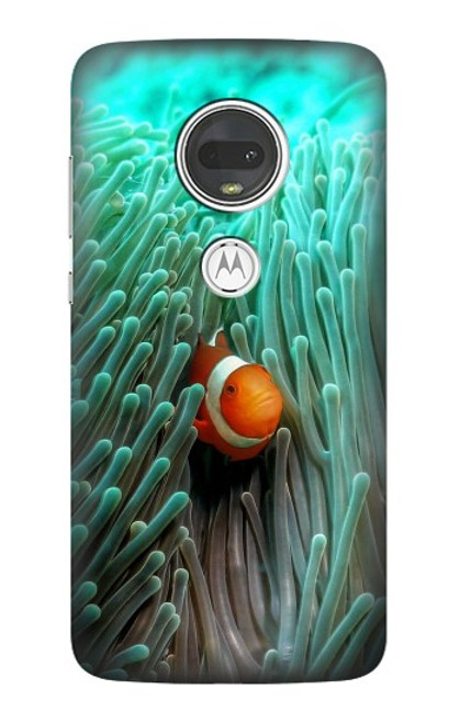 W3893 Ocellaris clownfish Hard Case and Leather Flip Case For Motorola Moto G7, Moto G7 Plus