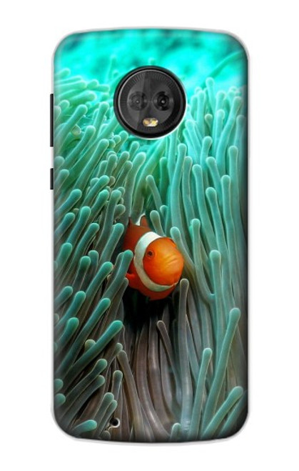 W3893 Ocellaris clownfish Hard Case and Leather Flip Case For Motorola Moto G6