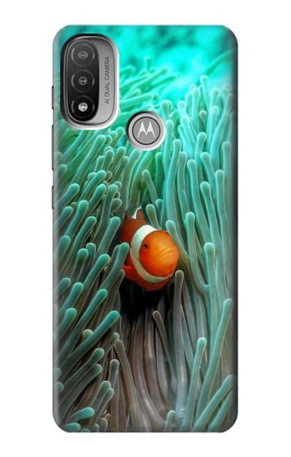 W3893 Ocellaris clownfish Hard Case and Leather Flip Case For Motorola Moto E20,E30,E40